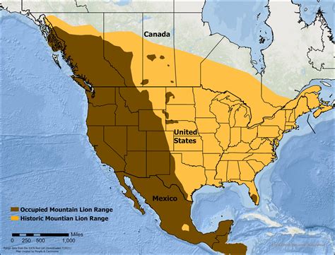 mountain lion territory map|where are mountain lions found.